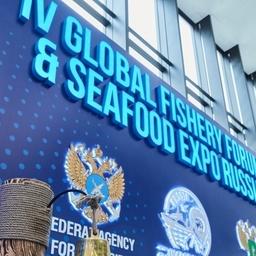 Seafood Expo Russia: подход к организации выставки остается прежним